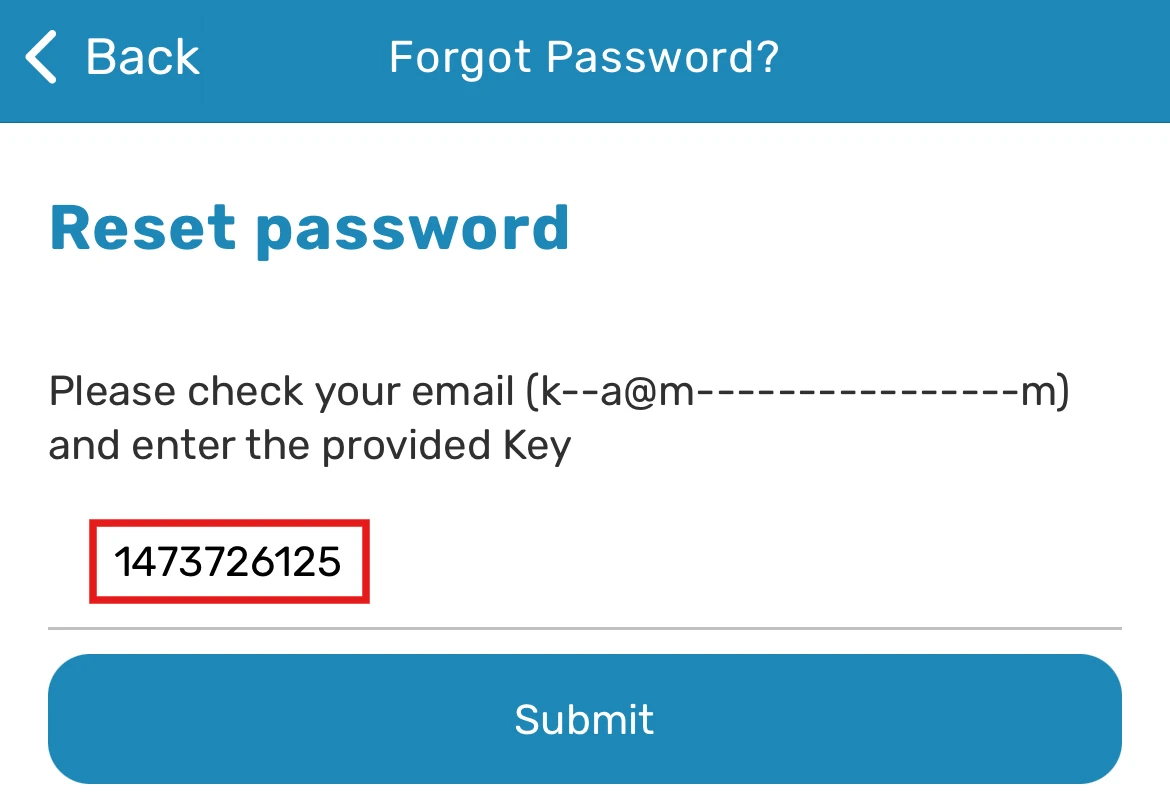 App screen to enter the provided key