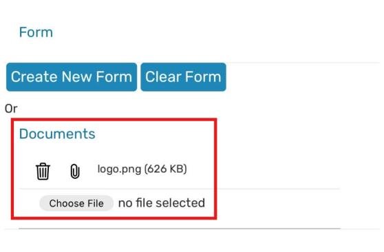 App document form Documents section with Choose File option